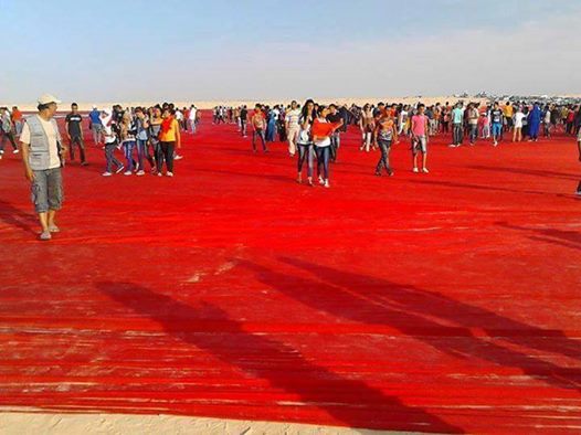 كُلّ الحقيقة عن قضية الدوس على علم تونس